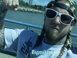 Bigmikesfit