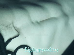 Bigsloppycock125
