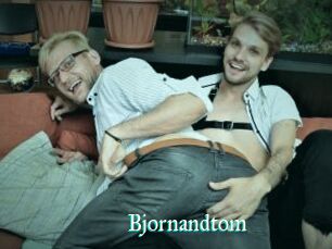 Bjornandtom