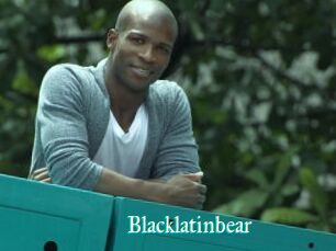 Blacklatinbear