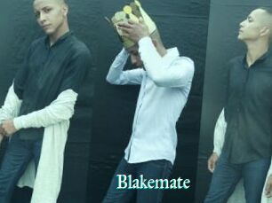 Blakemate