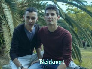 Bleicknort