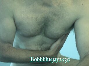 Bobbbluejay2530