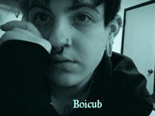Boicub