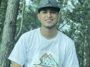Bradgil