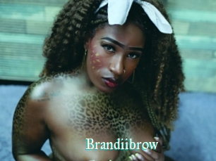 Brandiibrow