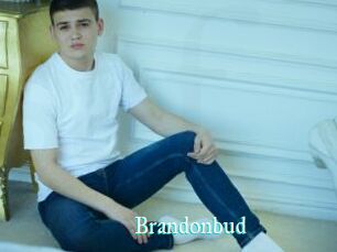 Brandonbud