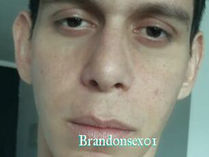 Brandonsex01