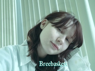 Breebaskett