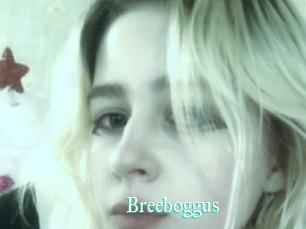 Breeboggus