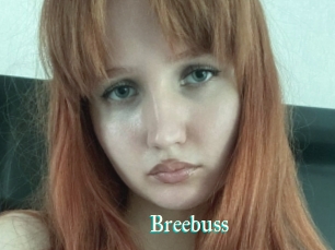 Breebuss