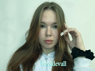 Breedevall
