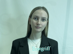 Breegriff