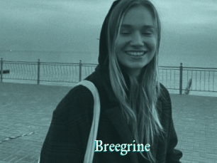 Breegrine