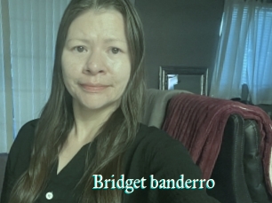 Bridget_banderro