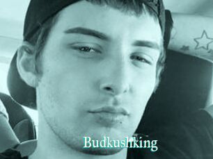 Budkushking