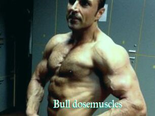 Bull_dosemuscles