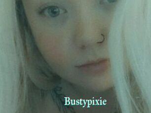 Bustypixie