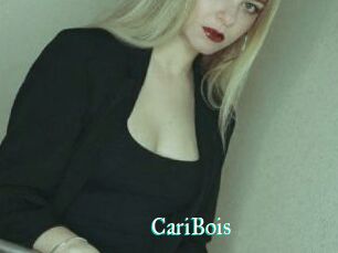 CariBois
