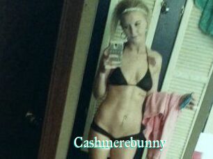 Cashmerebunny