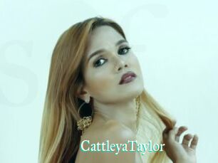 CattleyaTaylor