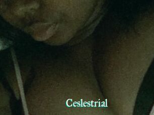 Ceslestrial