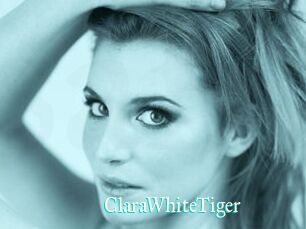 ClaraWhiteTiger