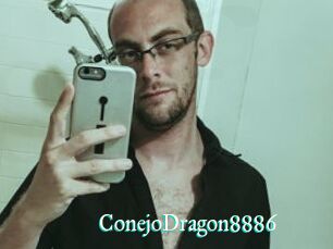 ConejoDragon8886