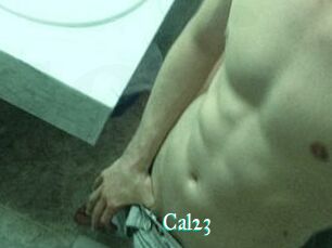 Cal23