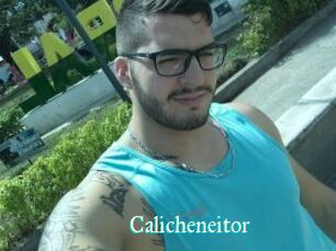 Calicheneitor