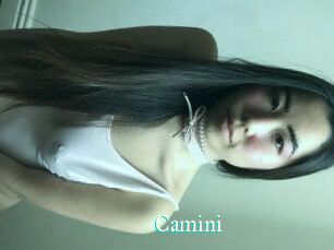 Camini