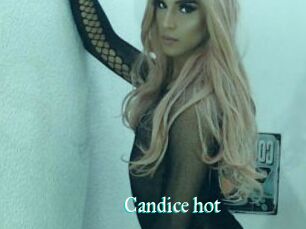 Candice_hot