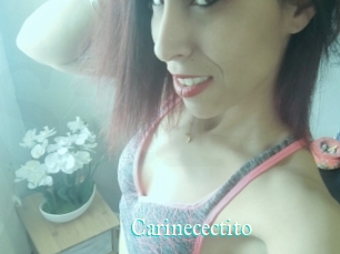 Carinecectito