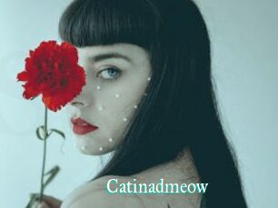 Catinadmeow