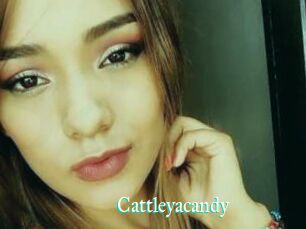 Cattleyacandy