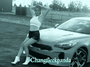 Changfleekpanda