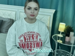 Chloebush