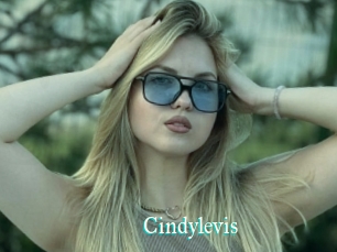 Cindylevis