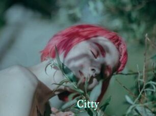 Citty