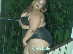Cleo_bule