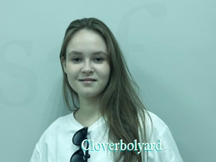 Cloverbolyard