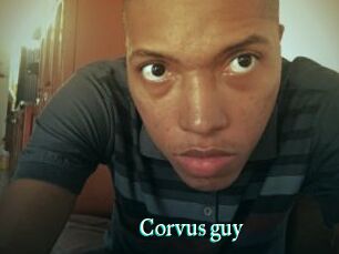 Corvus_guy