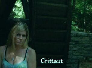 Crittacat