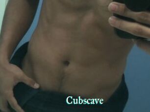 Cubscave