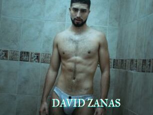 DAVID_ZANAS