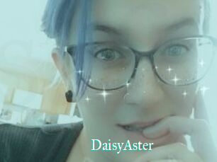 DaisyAster