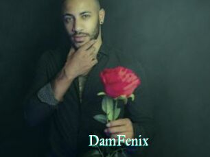 DamFenix