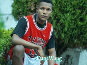 DaneWang
