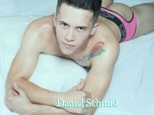Daniel_Schmid