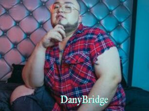DanyBridge